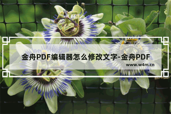 金舟PDF编辑器怎么修改文字-金舟PDF编辑器修改文字的方法