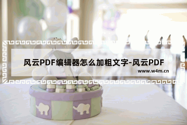 风云PDF编辑器怎么加粗文字-风云PDF编辑器加粗文字的方法