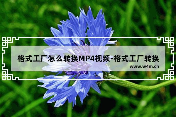 格式工厂怎么转换MP4视频-格式工厂转换MP4视频方法