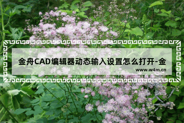 金舟CAD编辑器动态输入设置怎么打开-金舟CAD编辑器动态输入设置打开方法