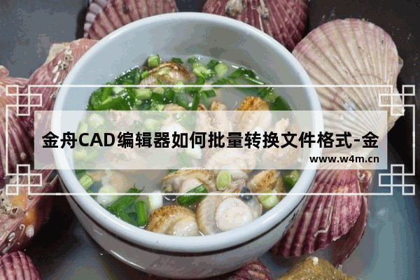 金舟CAD编辑器如何批量转换文件格式-金舟CAD编辑器批量转换文件格式的方法