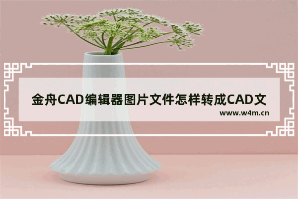 金舟CAD编辑器图片文件怎样转成CAD文件-金舟CAD编辑器图片文件转成CAD文件的方法