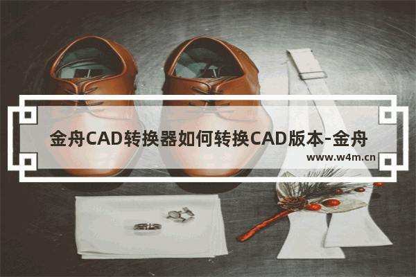 金舟CAD转换器如何转换CAD版本-金舟CAD转换器转换CAD版本的方法