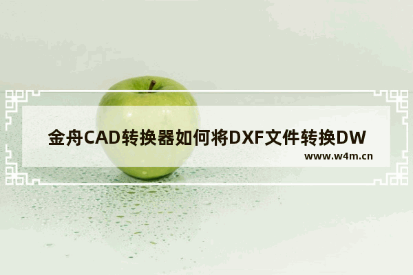 金舟CAD转换器如何将DXF文件转换DWG格式-金舟CAD转换器将DXF文件转换DWG格式的方法