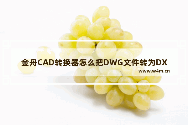 金舟CAD转换器怎么把DWG文件转为DXF格式-金舟CAD转换器把DWG文件转为DXF格式的方法