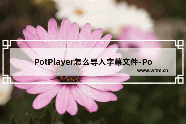 PotPlayer怎么导入字幕文件-PotPlayer导入字幕文件方法