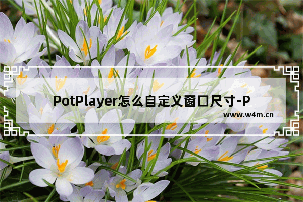 PotPlayer怎么自定义窗口尺寸-PotPlayer设置窗口尺寸方法