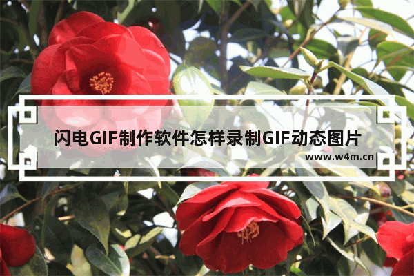 闪电GIF制作软件怎样录制GIF动态图片-闪电GIF制作软件录制GIF动态图片的方法