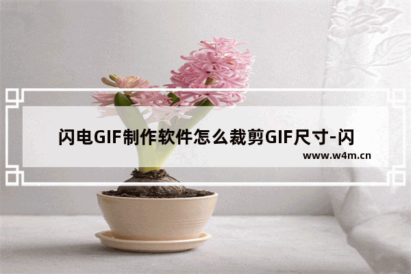 闪电GIF制作软件怎么裁剪GIF尺寸-闪电GIF制作软件裁剪GIF尺寸的方法