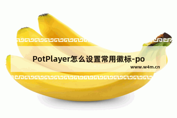 PotPlayer怎么设置常用徽标-potplayer设置常用徽标方法