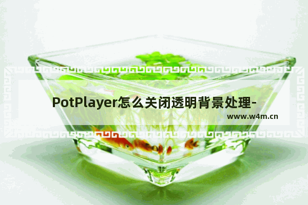 PotPlayer怎么关闭透明背景处理-PotPlayer关闭透明背景处理方法