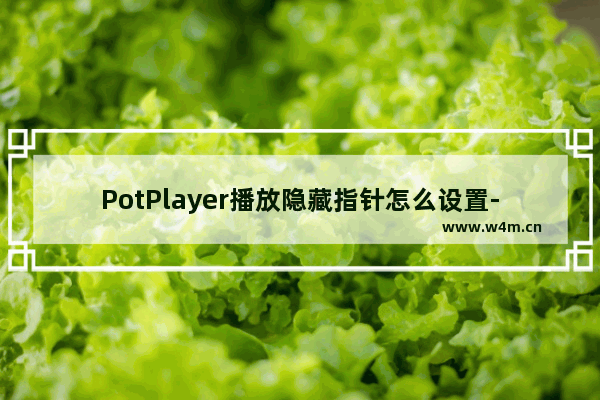 PotPlayer播放隐藏指针怎么设置-PotPlayer播放隐藏指针设置方法