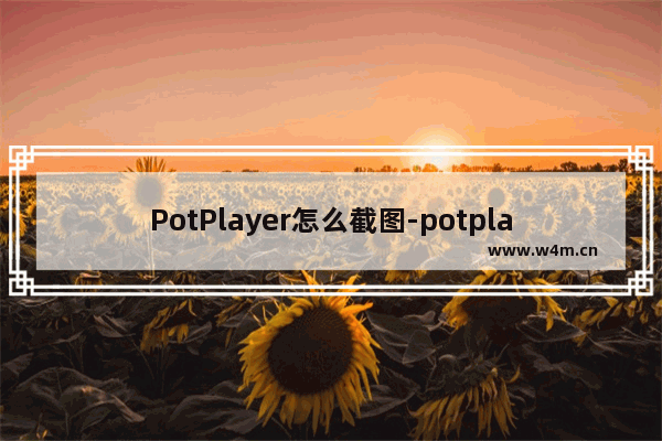 PotPlayer怎么截图-potplayer截图方法