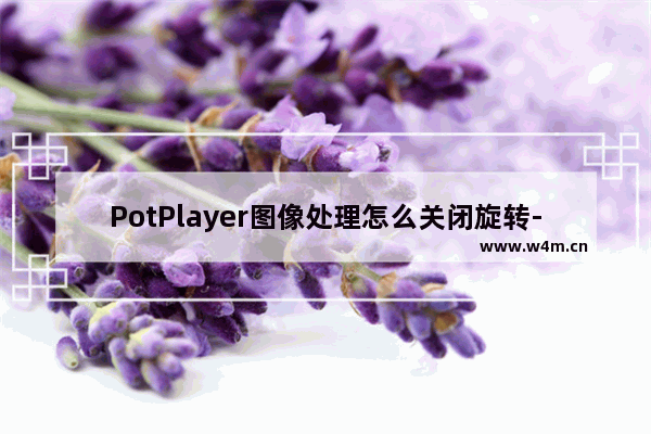 PotPlayer图像处理怎么关闭旋转-potplayer图像处理关闭旋转方法