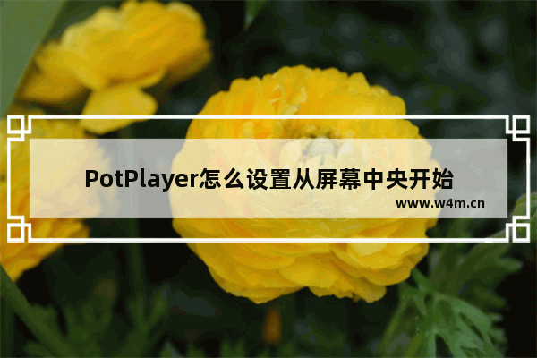 PotPlayer怎么设置从屏幕中央开始播放-PotPlayer中央开始播放方法