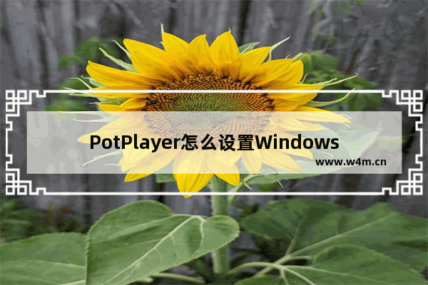 PotPlayer怎么设置Windows锁屏时暂停-potplayer设置Windows锁屏时暂停方法