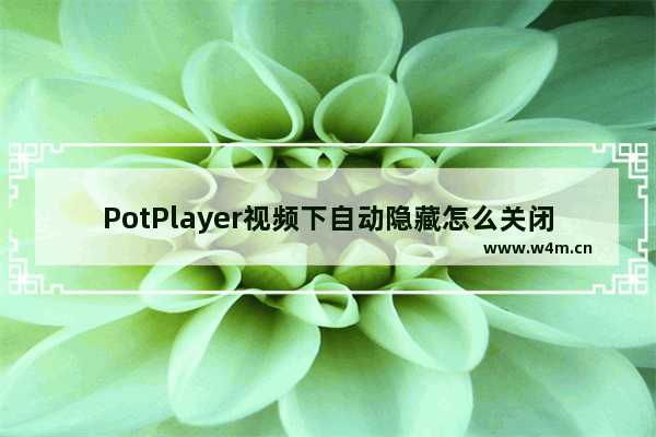 PotPlayer视频下自动隐藏怎么关闭-potplayer关闭视频下自动隐藏方法