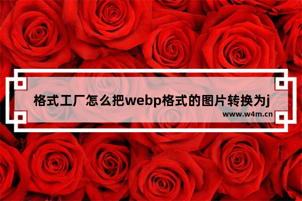 格式工厂怎么把webp格式的图片转换为jpg格式-格式工厂webp格式的图片转jpg格式的方法