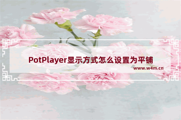 PotPlayer显示方式怎么设置为平铺-potplayer显示方式平铺方法