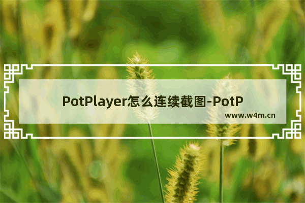 PotPlayer怎么连续截图-PotPlayer进行连续截图方法