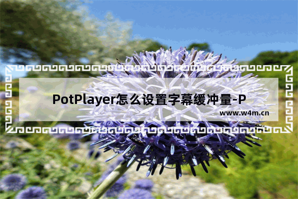 PotPlayer怎么设置字幕缓冲量-PotPlayer设置字幕缓冲量的方法