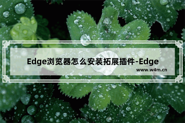 Edge浏览器怎么安装拓展插件-Edge浏览器安装拓展插件方法