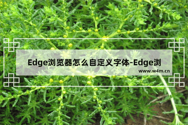 Edge浏览器怎么自定义字体-Edge浏览器自定义字体方法