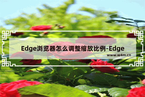 Edge浏览器怎么调整缩放比例-Edge浏览器调整缩放比例方法