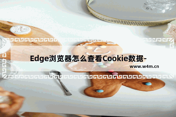 Edge浏览器怎么查看Cookie数据-Edge浏览器查看Cookie数据方法