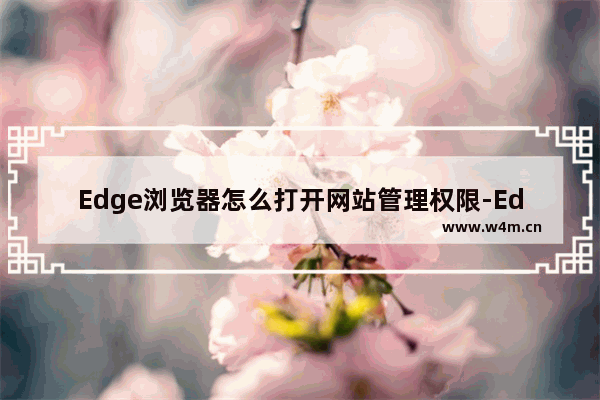 Edge浏览器怎么打开网站管理权限-Edge浏览器开启网站管理权限方法