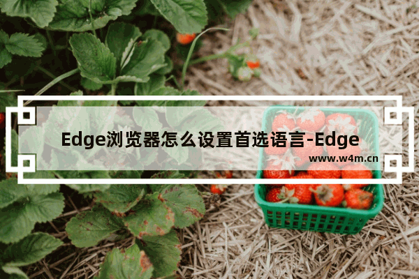 Edge浏览器怎么设置首选语言-Edge浏览器设置首选语言方法