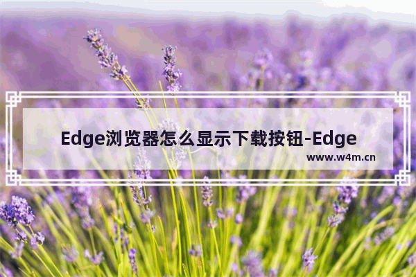 Edge浏览器怎么显示下载按钮-Edge浏览器显示下载按钮方法