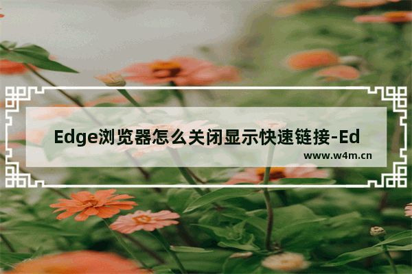 Edge浏览器怎么关闭显示快速链接-Edge浏览器关闭显示快速链接方法