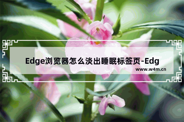 Edge浏览器怎么淡出睡眠标签页-Edge浏览器淡出睡眠标签页方法