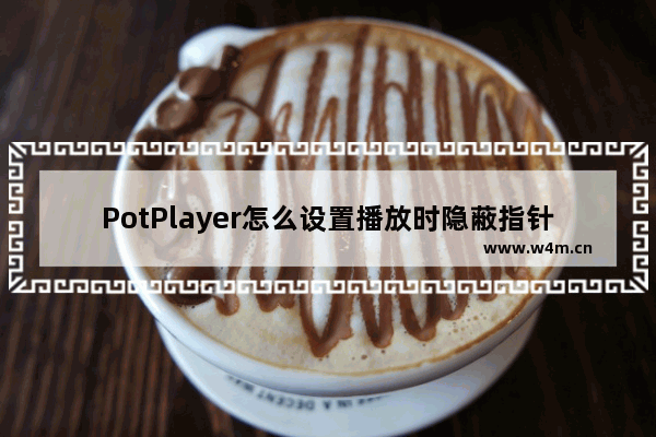 PotPlayer怎么设置播放时隐蔽指针-PotPlayer设置播放时隐蔽指针方法