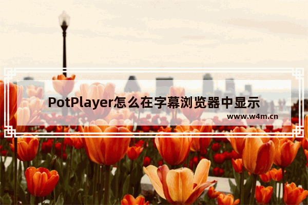 PotPlayer怎么在字幕浏览器中显示时间-PotPlayer字幕浏览器显示时间方法