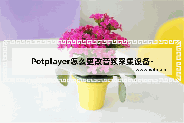 Potplayer怎么更改音频采集设备-Potplayer更改音频采集设备方法