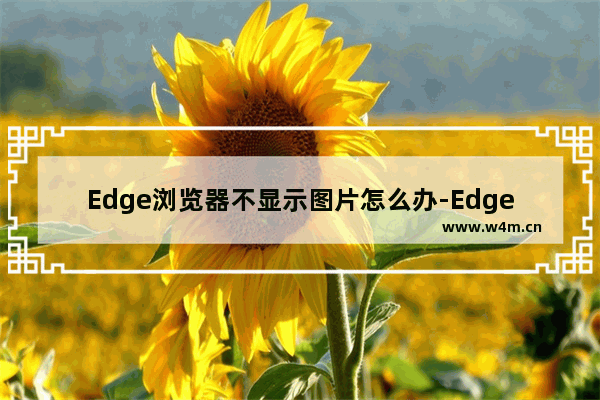 Edge浏览器不显示图片怎么办-Edge浏览器不显示图片的解决方法