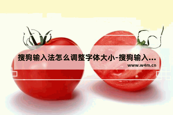 搜狗输入法怎么调整字体大小-搜狗输入法调整字体大小方法