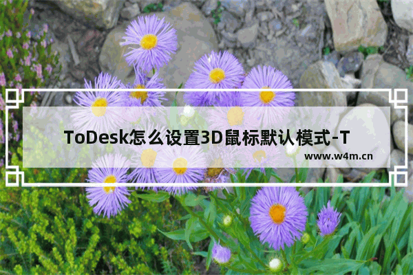 ToDesk怎么设置3D鼠标默认模式-ToDesk设置3D鼠标默认模式方法