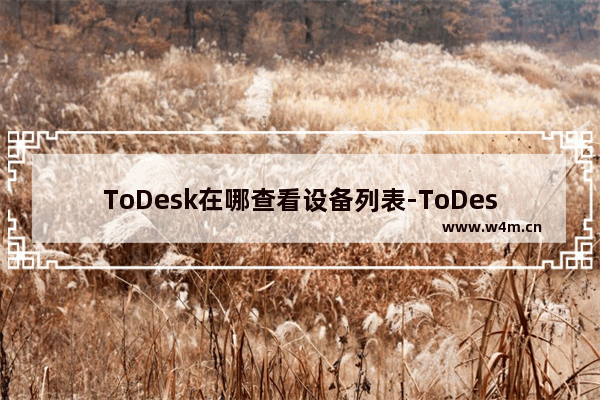 ToDesk在哪查看设备列表-ToDesk查看设备列表方法