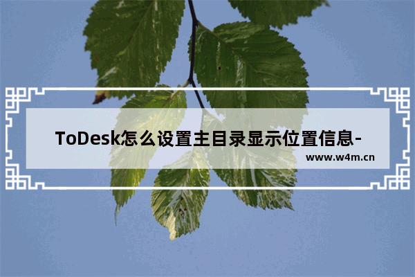 ToDesk怎么设置主目录显示位置信息-Todesk主目录显示位置信息教程