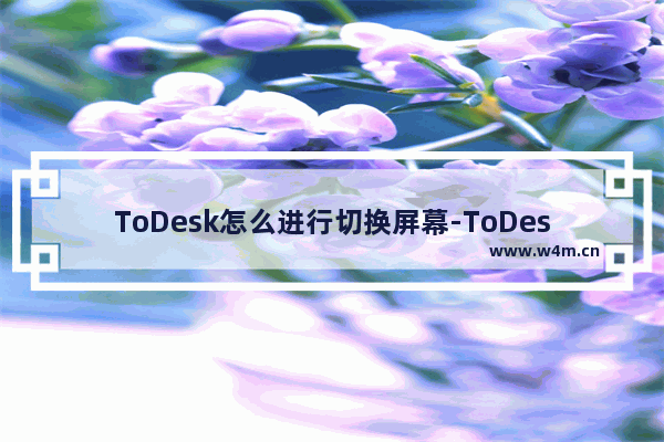 ToDesk怎么进行切换屏幕-ToDesk切换屏幕的方法