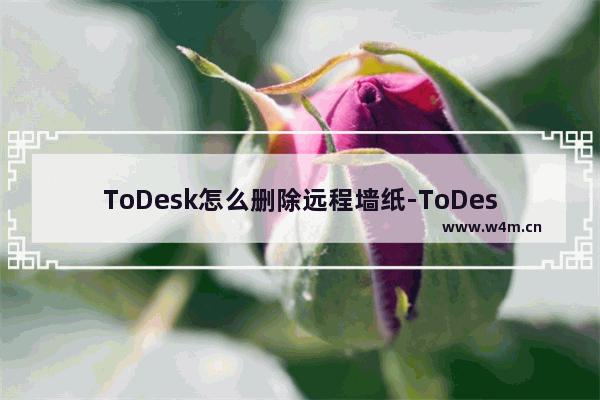 ToDesk怎么删除远程墙纸-ToDesk删除远程墙纸的方法