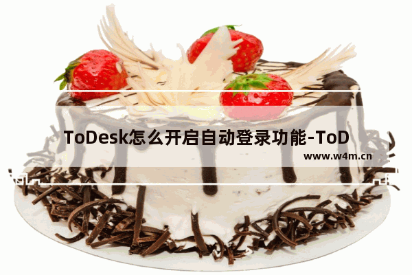 ToDesk怎么开启自动登录功能-ToDesk开启自动登录功能的方法