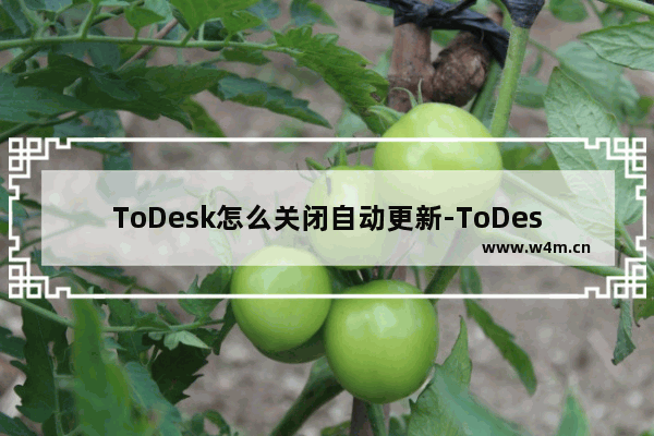 ToDesk怎么关闭自动更新-ToDesk关闭自动更新的方法