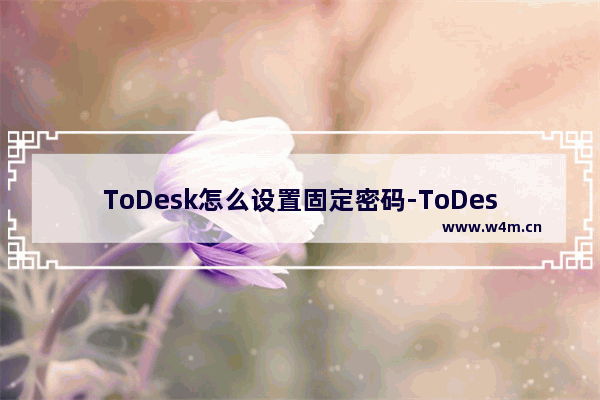 ToDesk怎么设置固定密码-ToDesk设置固定密码的方法