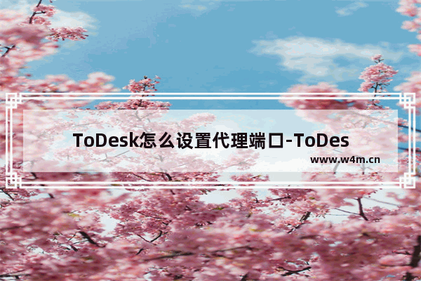 ToDesk怎么设置代理端口-ToDesk设置代理端口的方法