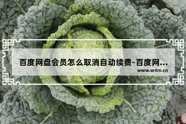 百度网盘会员怎么取消自动续费-百度网盘会员取消自动续费方法