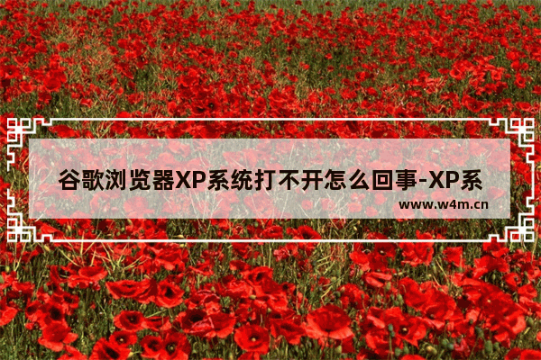 谷歌浏览器XP系统打不开怎么回事-XP系统打不开谷歌浏览器解决方法